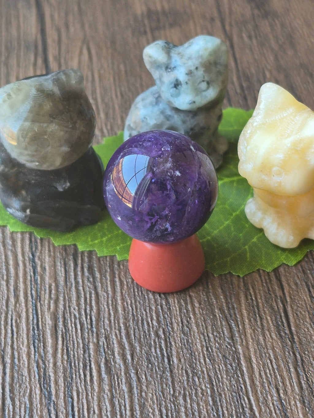 🐈 The Cat Council: Guardians of the Amethyst ✨