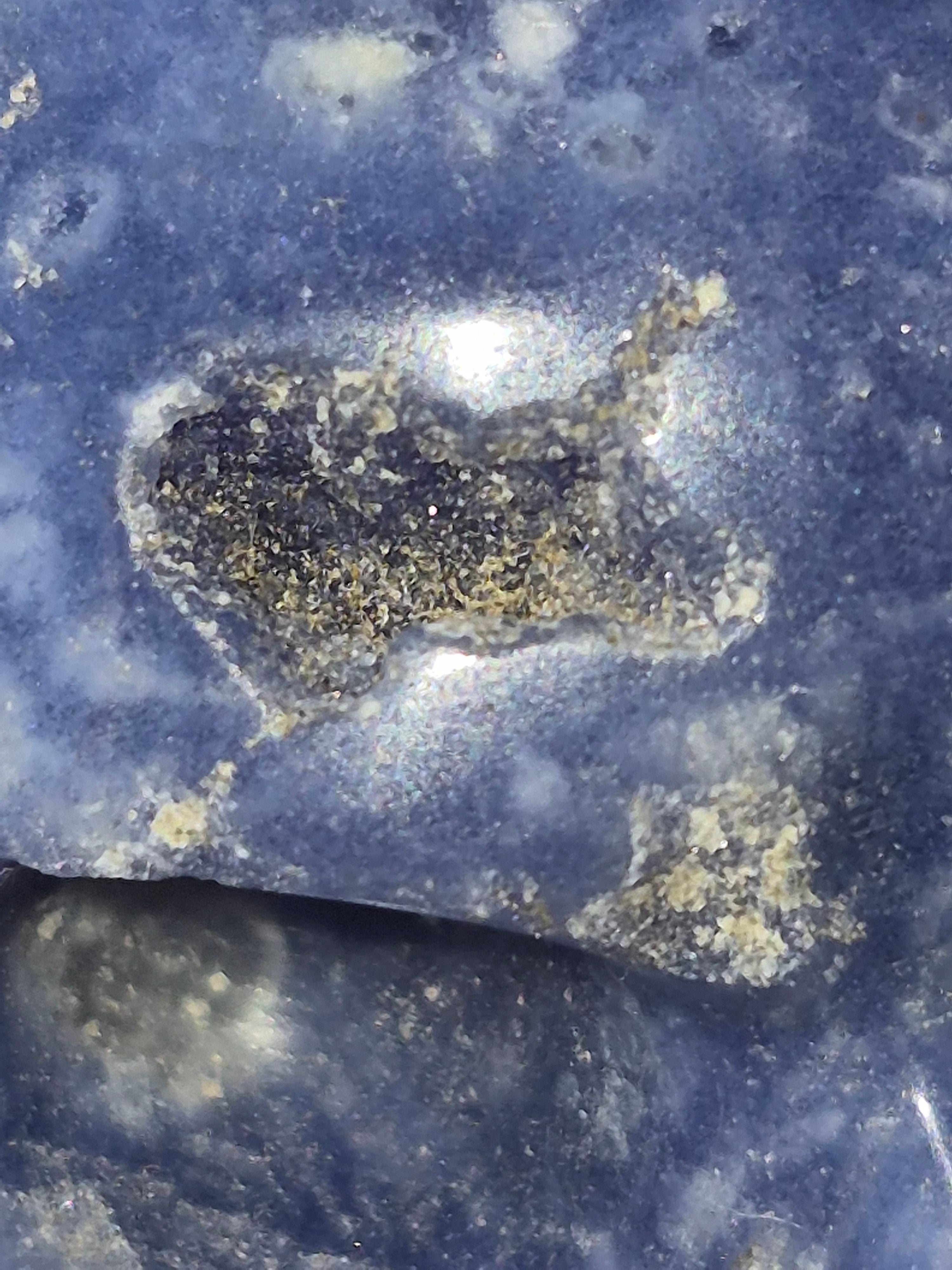 Sodalite Deep Intuition Skull 💀💙