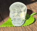 💀 Crystal Veil Clear Quartz Skull