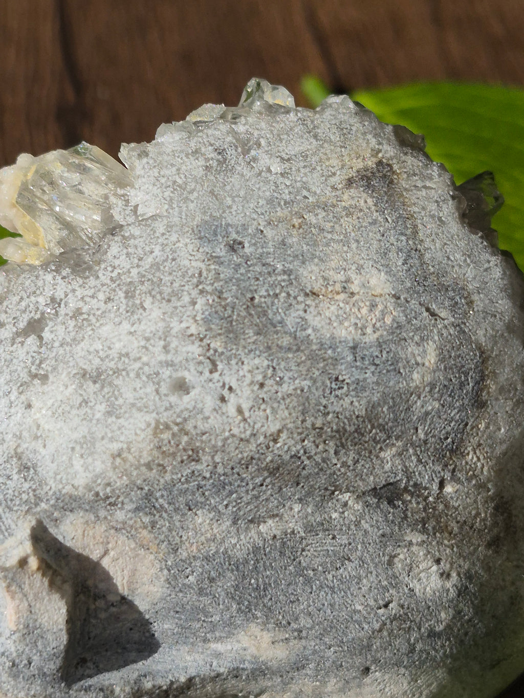 🤍 Frozen Quartz Cluster Skull ⭐