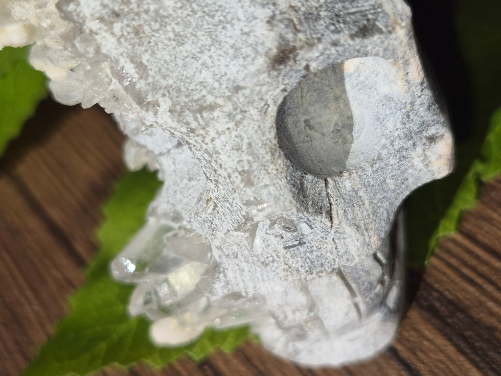 🤍 Frozen Quartz Cluster Skull ⭐