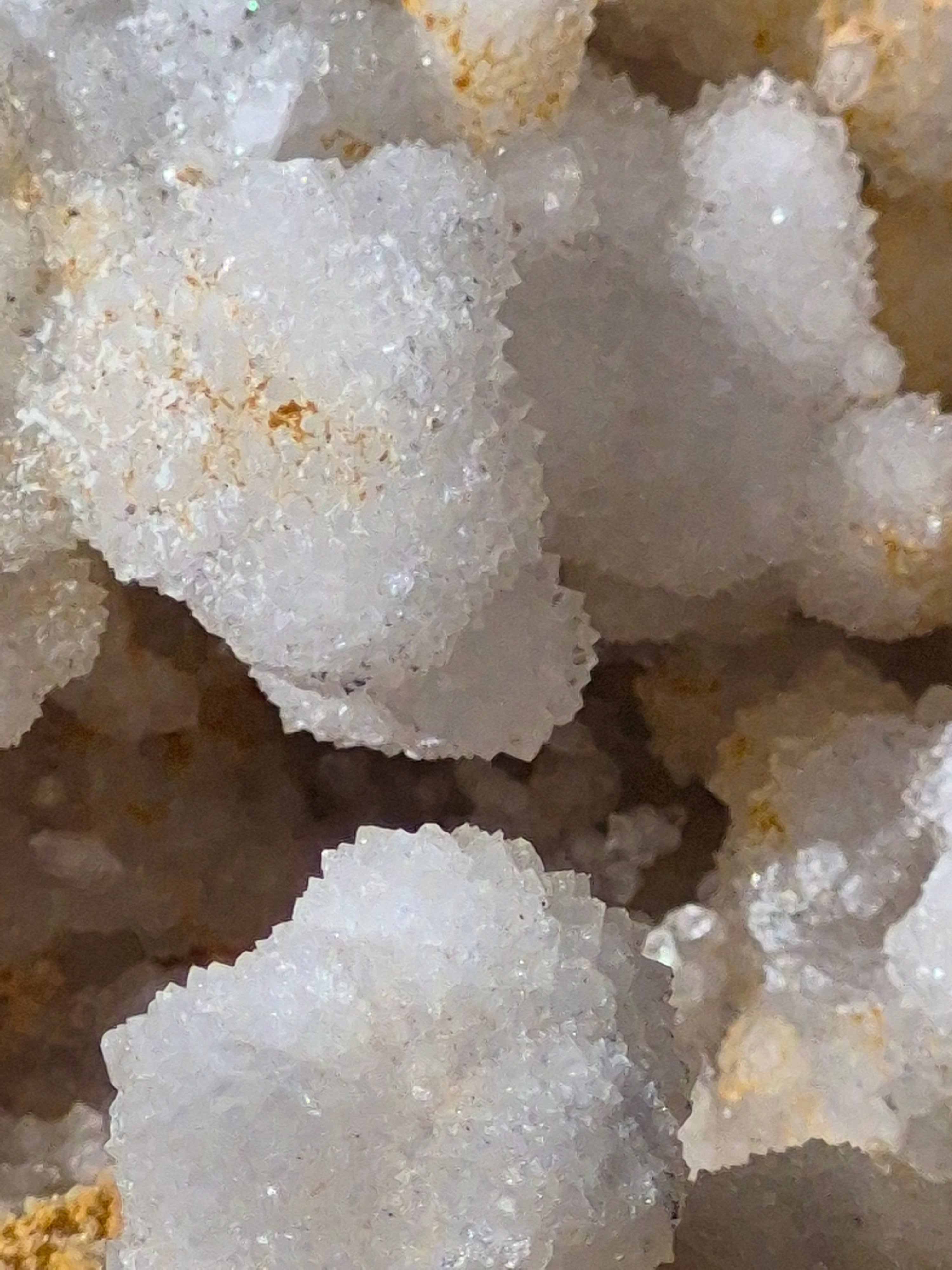 🤍White Quartz Geode- Whole ✨️ Specimen No.001
