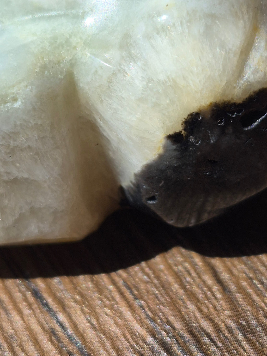 💀 Agate Skull with Natural Druzy Quartz Pocket